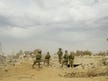 Cabinetul de război israelian divizat în privința termenilor acordului de ostatici, în timp ce IDF extinde operațiunea