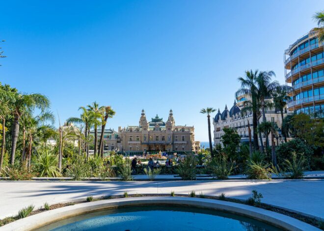 Pariuri pe baschet: linii de puncte, handicap și totaluri explicate