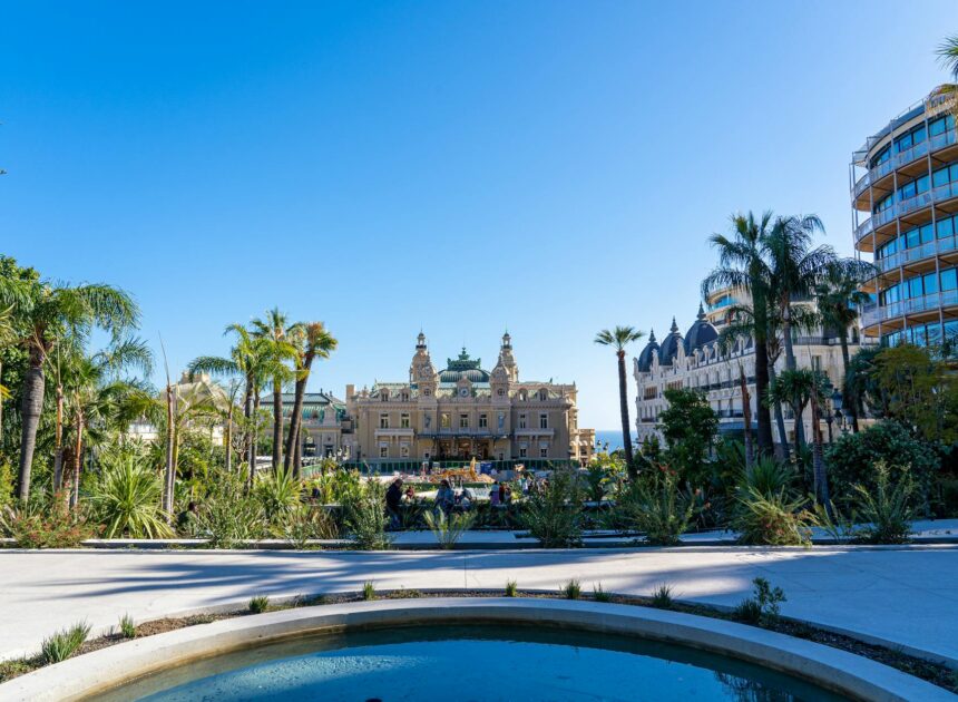 Pariuri pe baschet: linii de puncte, handicap și totaluri explicate